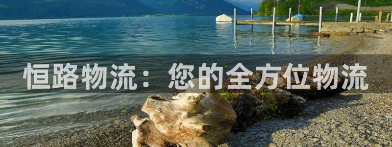 28圈注册登录链接：恒路物流：您的全