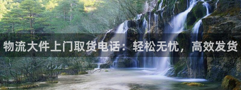 28圈加拿大预测：物流大件上门取货电