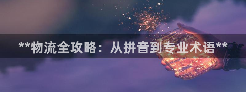 28圈账号注册：**物流全攻略：从拼