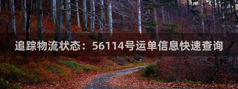 28圈充值不处理：追踪物流状态：56