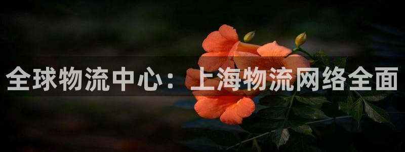 28圈cn
