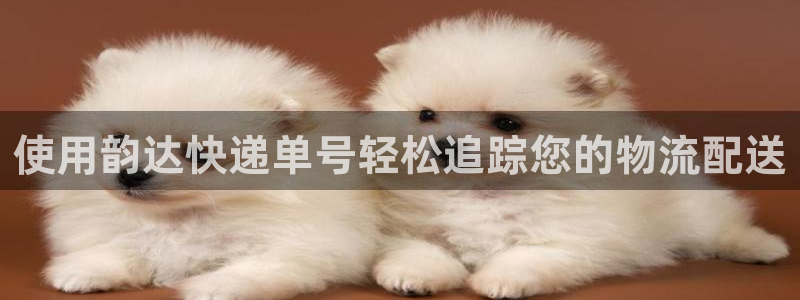 28圈加拿大开奖