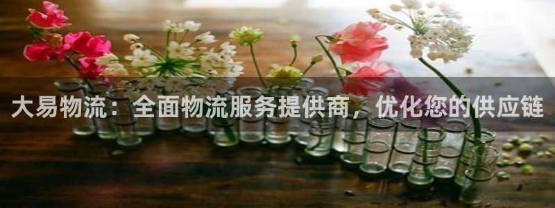 28圈加拿大最新版：大易物流：全面物