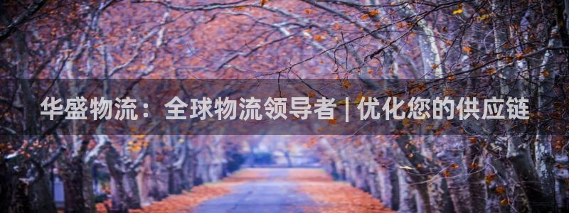 28圈aPP退款：华盛物流：全球物流