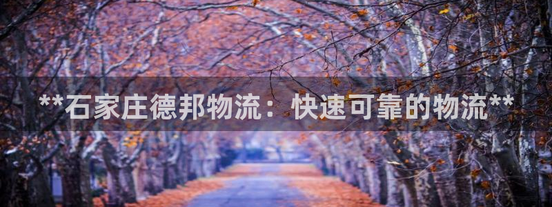 28圈在线预测官网：**石家庄德邦物