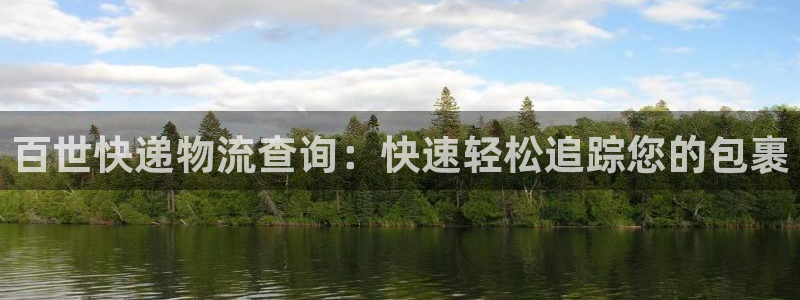 28圈注册网站谁有：百世快递物流查询