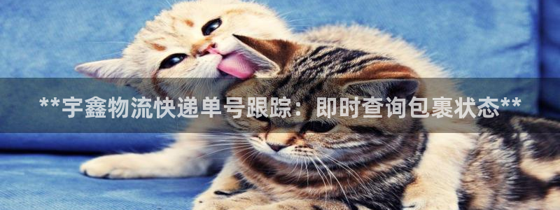 28圈加拿大下载：**宇鑫物流快递单