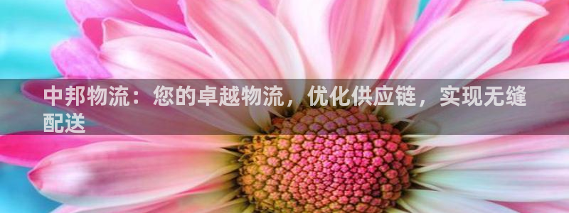 南宫28圈官网