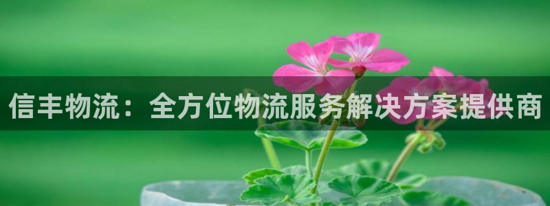 28圈充值不到账怎么回事：信丰物流：