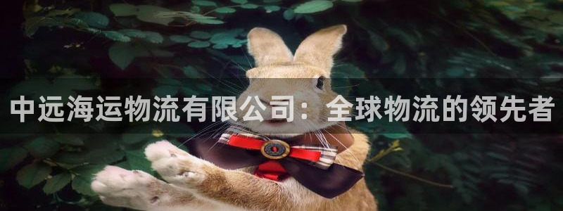 28圈pg麻将胡了：中远海运物流有限