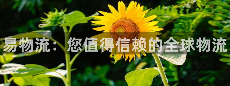 28圈官网版2024