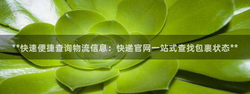 28圈官方官网
