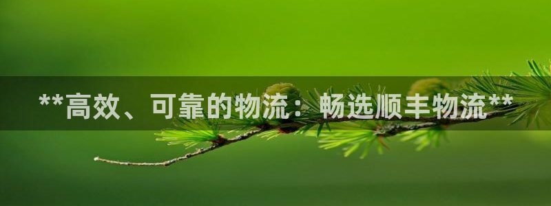 28圈注册过了警察知道吗：**高效、