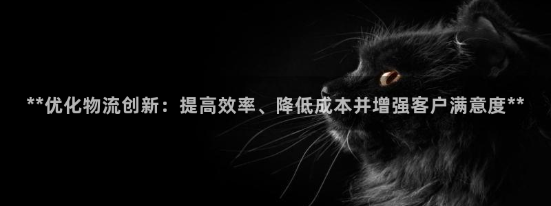 28圈官网平台：**优化物流创新：提