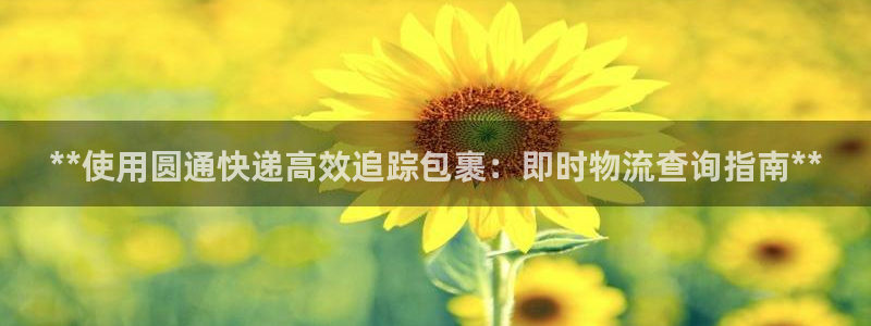 28圈玩法：**使用圆通快递高效追踪