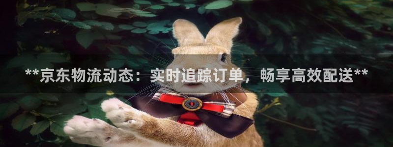 28圈注册网站链接是什么：**京东物