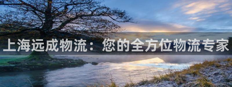 28圈下载二维码
