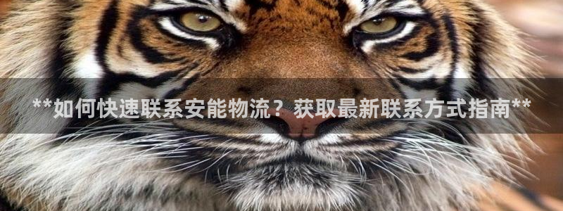 28圈怎么注册游戏名字：**如何快速