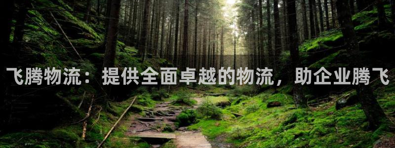 28圈为什么没有赢过一次：飞腾物流：