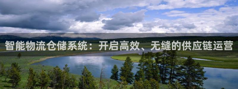 28圈注册登录：智能物流仓储系统：开