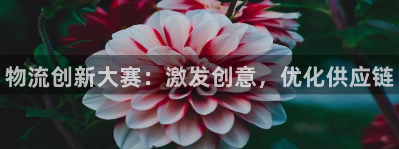 28圈注册问一问：物流创新大赛：激发