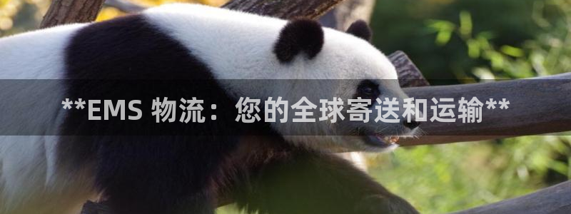加拿大28圈注册链接：**EMS 物