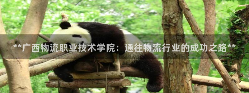 28圈注册网站：**广西物流职业技术