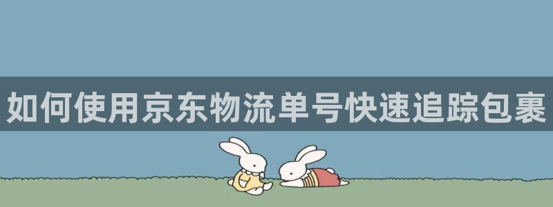 28圈加拿大模拟器：如何使用京东物流
