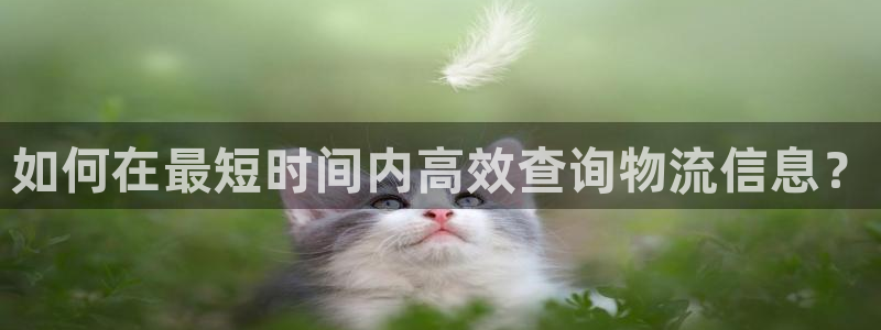 28圈注册送：如何在最短时间内高效查