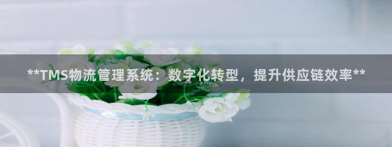 28圈连接