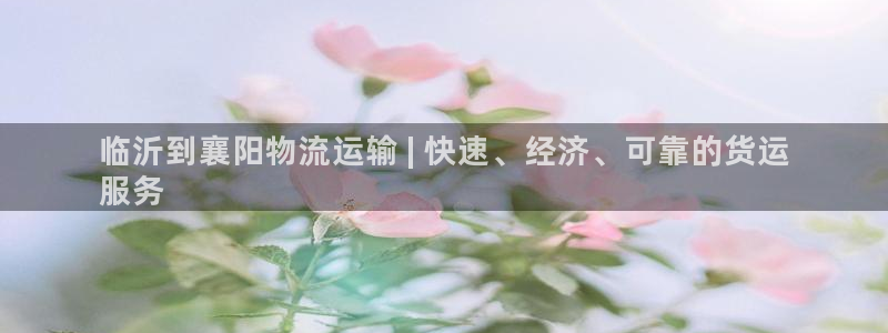 28圈官网平台：临沂到襄阳物流运输 