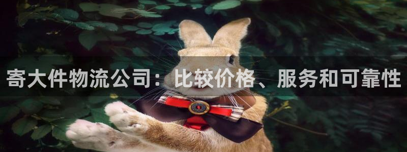 28圈稳吗：寄大件物流公司：比较价格