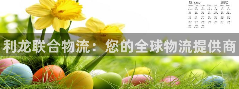28圈免费充钱：利龙联合物流：您的全