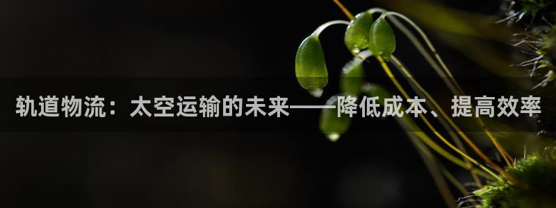 28圈退款教程：轨道物流：太空运输的