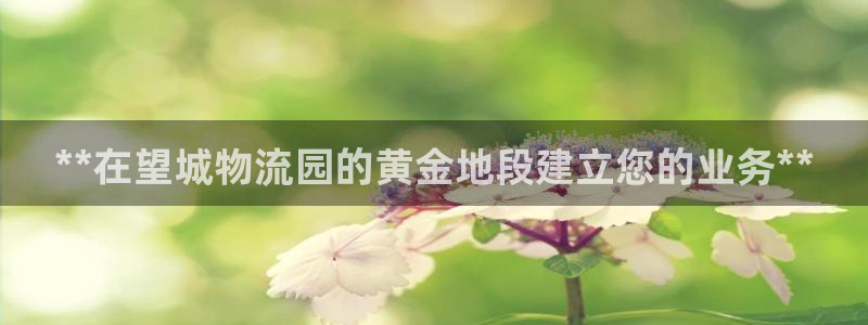 28圈娱乐官网网页下载：**在望城物