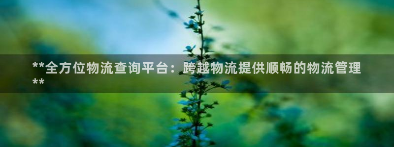 28圈注册网站谁有：**全方位物流查