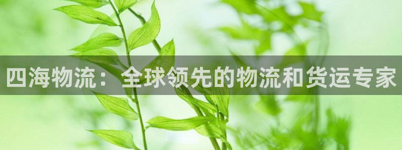 28圈链接是什么：四海物流：全球领先