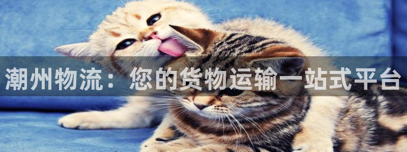28圈pc预测：潮州物流：您的货物运