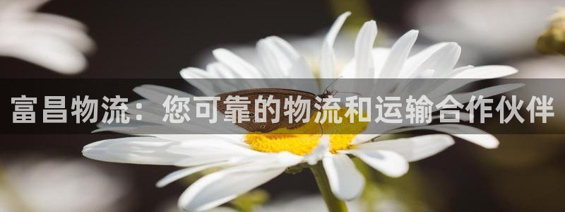 28圈能退款吗：富昌物流：您可靠的物