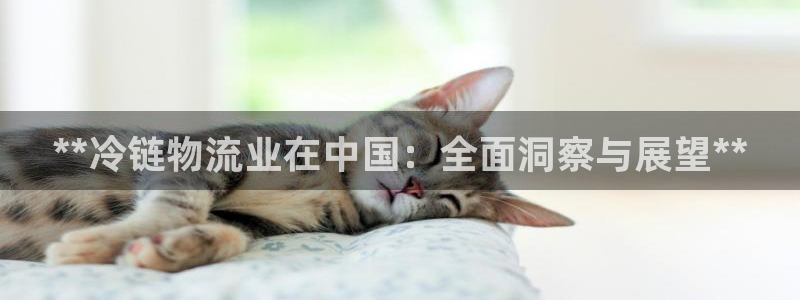 28圈pg麻将胡了：**冷链物流业在