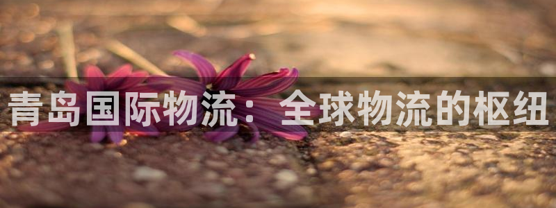 28圈链接：青岛国际物流：全球物流的