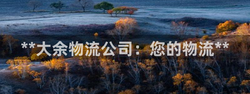 28圈注册网址：**大余物流公司：您