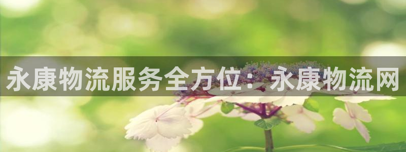 28圈新用户怎么注册：永康物流服务全