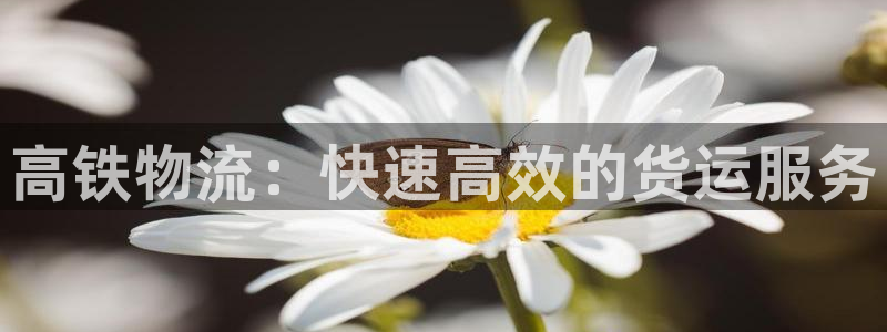 南宫28圈官网版