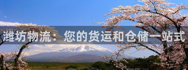 28圈注册登录链接流程：潍坊物流：您