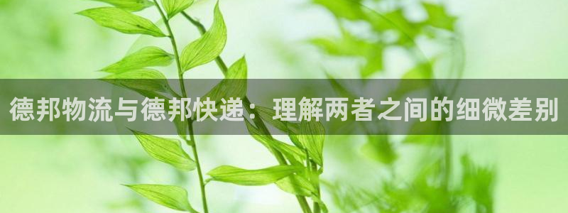 28圈p扣除是什么意思：德邦物流与德