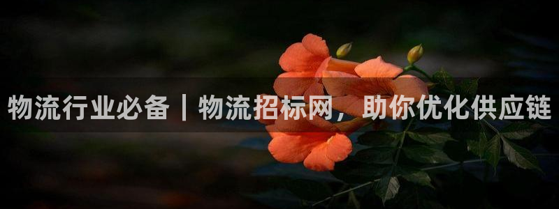 28圈娱乐官网网页