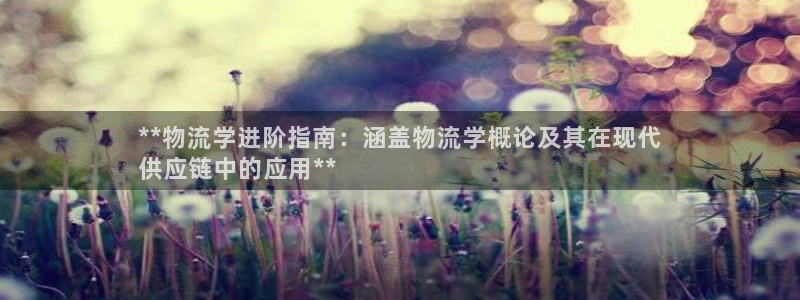 28圈分分压单双技巧：**物流学进阶