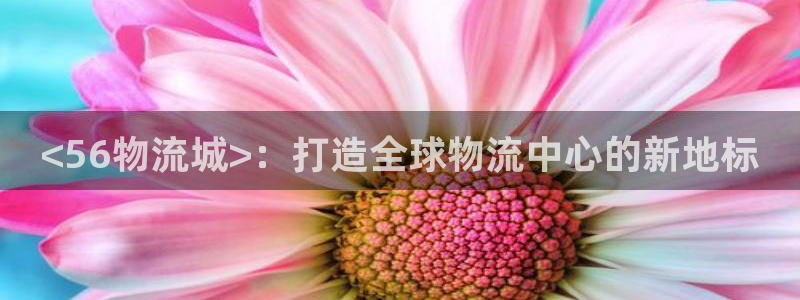加拿大28圈是什么