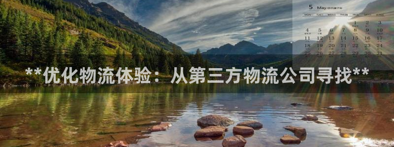 28圈预测：**优化物流体验：从第三